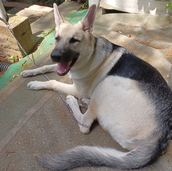 🎀STOCKING STUFFERS!🎁 - Picture 4 of 4